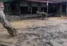 KEJAHATAN LINGKUNGAN DI BAKUNGAN: PT MHU DAN CV MIJ TUDUH KULITI HAK WARGA, NEGARA MANDUL MENGAWASI!